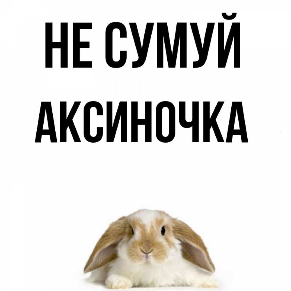 Открытка на каждый день з підписом, Аксиночка Не сумуй коричнево белый заяц с большими ушками Прикольна листівка з побажанням онлайн скачати безкоштовно 