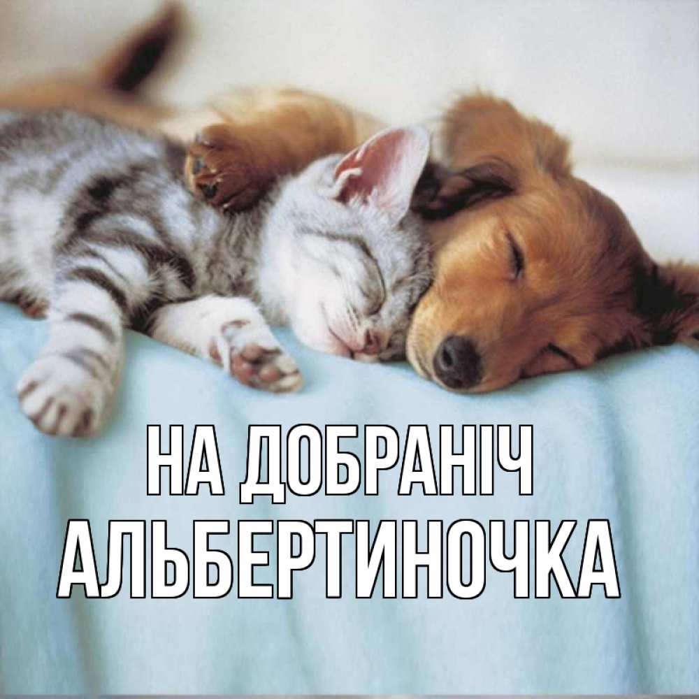 Открытка на каждый день з підписом, Альбертиночка На добраніч с животными Прикольна листівка з побажанням онлайн скачати безкоштовно 