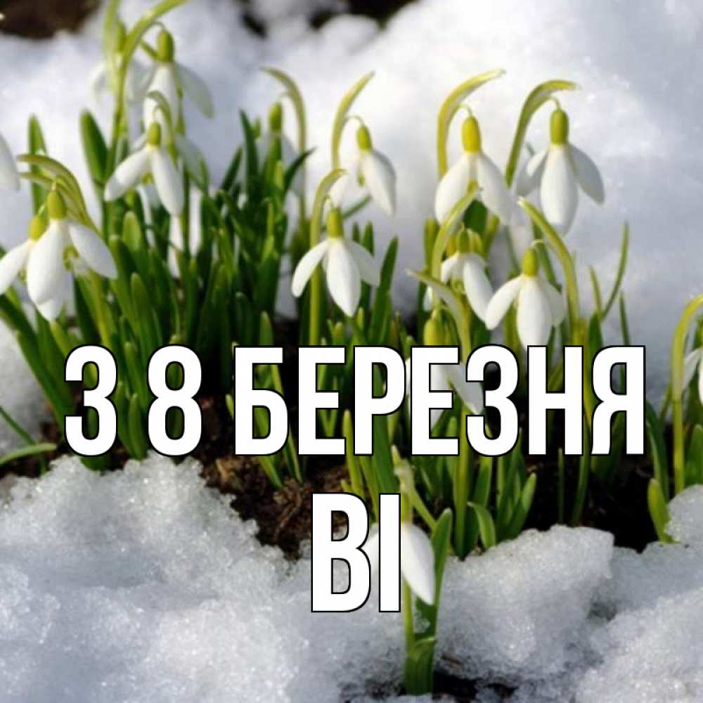Открытка на каждый день з підписом, Ві З 8 БЕРЕЗНЯ цветы весенние Прикольна листівка з побажанням онлайн скачати безкоштовно 