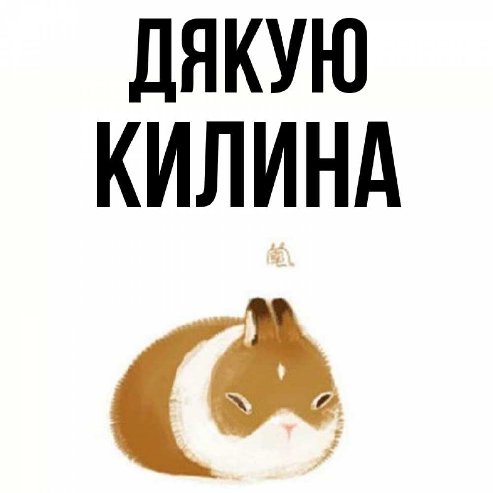 Открытка на каждый день з підписом, Килина Дякую коричнево белый домашний питомец Прикольна листівка з побажанням онлайн скачати безкоштовно 