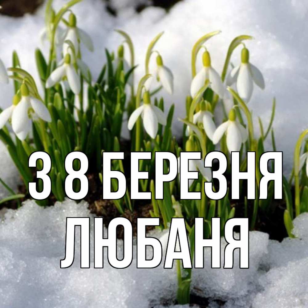 Открытка на каждый день з підписом, Любаня З 8 БЕРЕЗНЯ цветы весенние Прикольна листівка з побажанням онлайн скачати безкоштовно 
