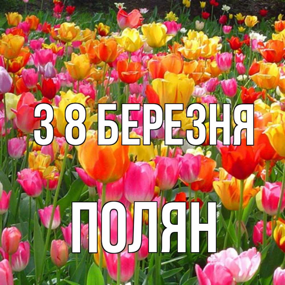 Открытка на каждый день з підписом, Полян З 8 БЕРЕЗНЯ на международный женский день Прикольна листівка з побажанням онлайн скачати безкоштовно 