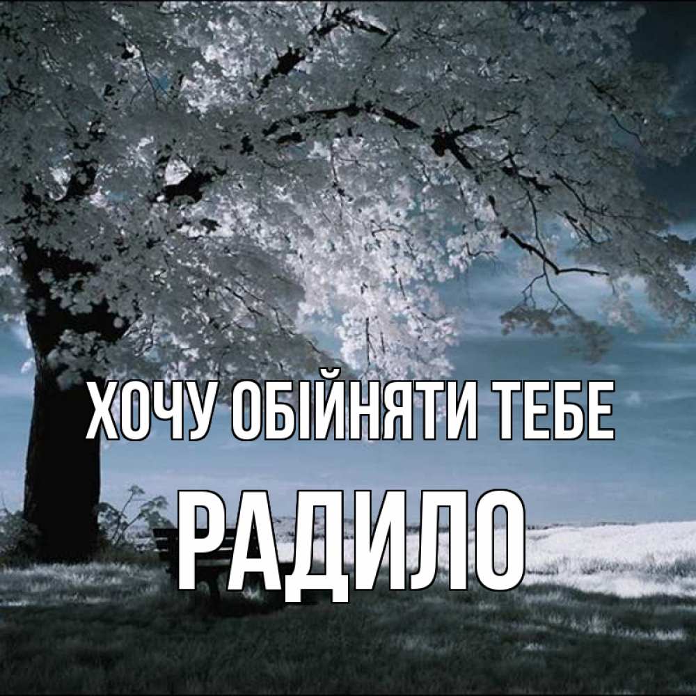 Открытка на каждый день з підписом, Радило Хочу обійняти тебе дерево Прикольна листівка з побажанням онлайн скачати безкоштовно 
