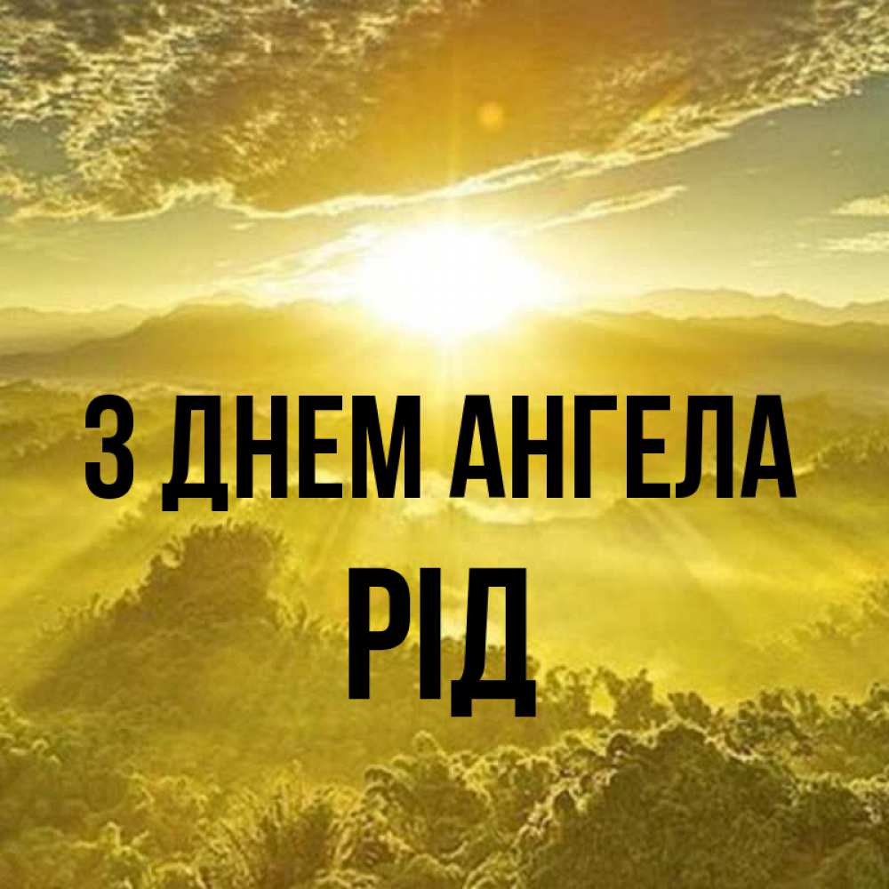 Открытка на каждый день з підписом, Рід З Днем ангела леса и небо в желтом Прикольна листівка з побажанням онлайн скачати безкоштовно 