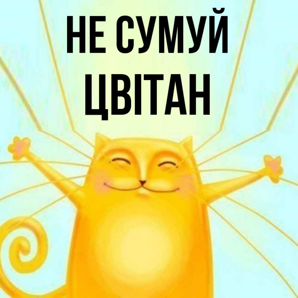 Открытка на каждый день з підписом, Цвітан Не сумуй обнимашки усатые Прикольна листівка з побажанням онлайн скачати безкоштовно 