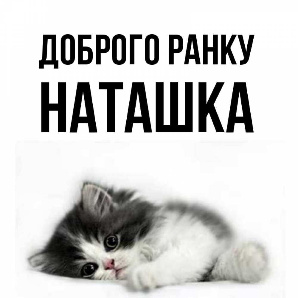 Открытка на каждый день з підписом, Наташка Доброго ранку кот лапки Прикольна листівка з побажанням онлайн скачати безкоштовно 
