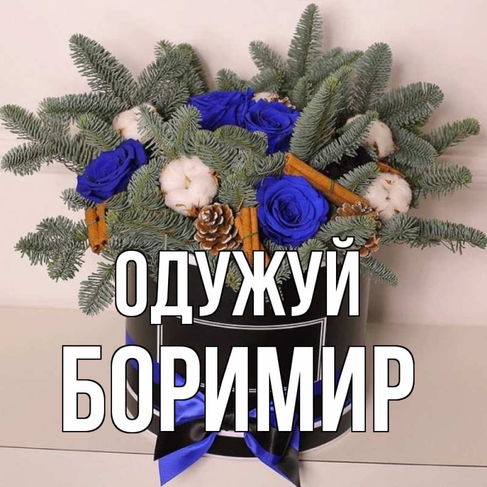 Открытка на каждый день з підписом, Боримир Одужуй короче кто то загрузил эти шишки Прикольна листівка з побажанням онлайн скачати безкоштовно 