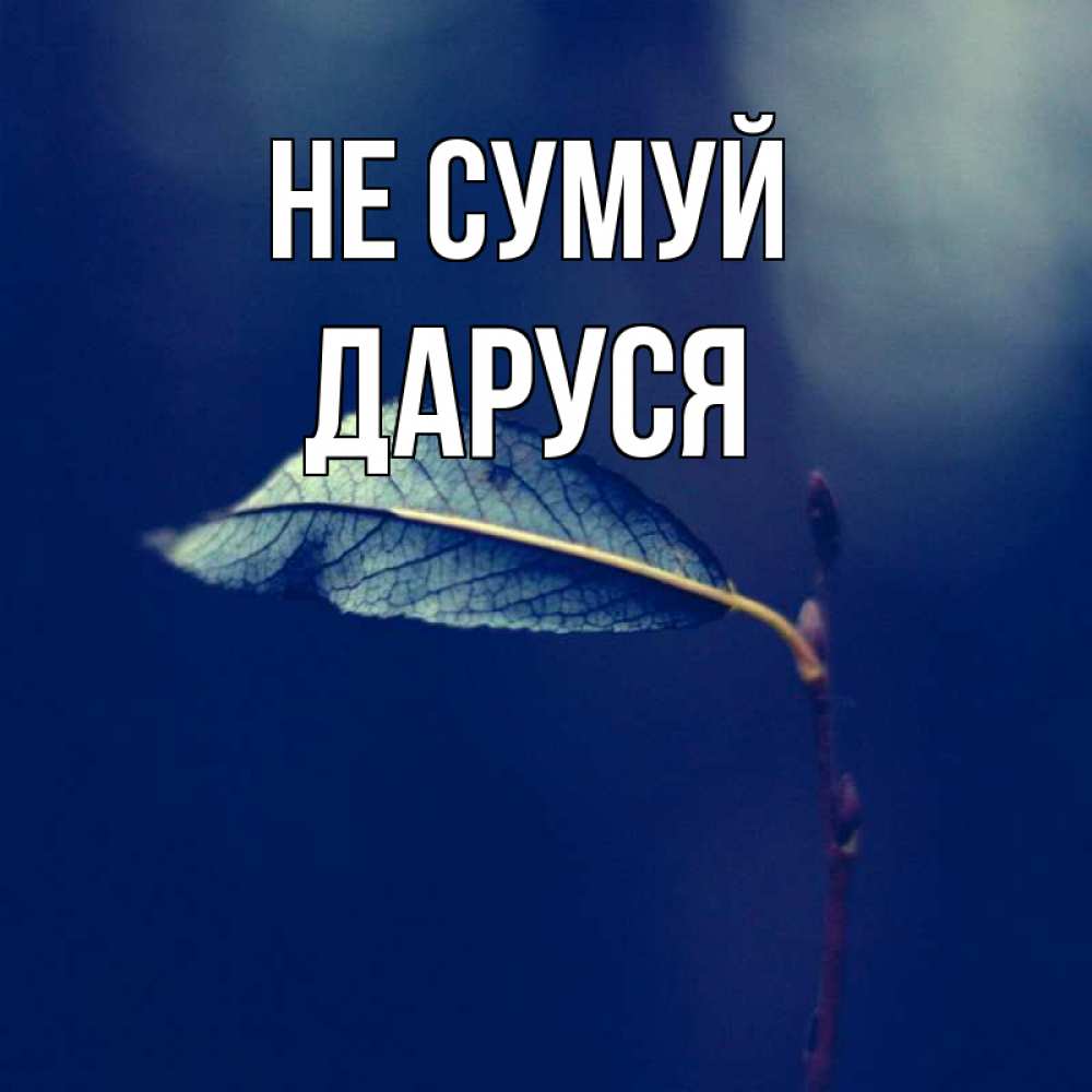 Открытка на каждый день з підписом, Даруся Не сумуй растение Прикольна листівка з побажанням онлайн скачати безкоштовно 