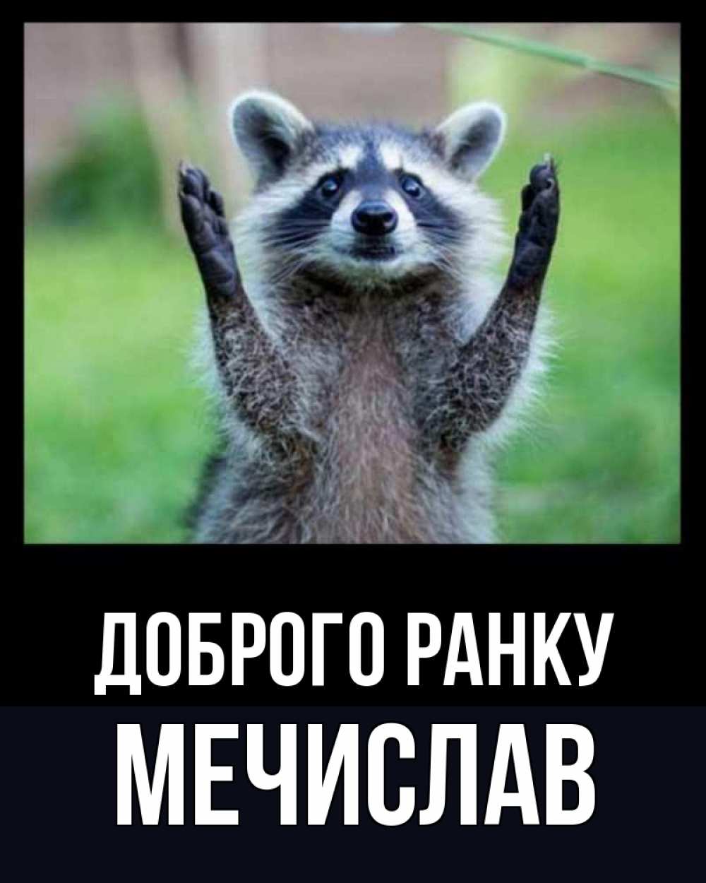 Открытка на каждый день з підписом, Мечислав Доброго ранку хорошее настроение утречком Прикольна листівка з побажанням онлайн скачати безкоштовно 
