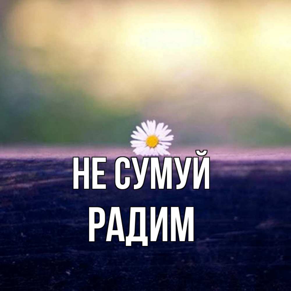 Открытка на каждый день з підписом, Радим Не сумуй красота Прикольна листівка з побажанням онлайн скачати безкоштовно 