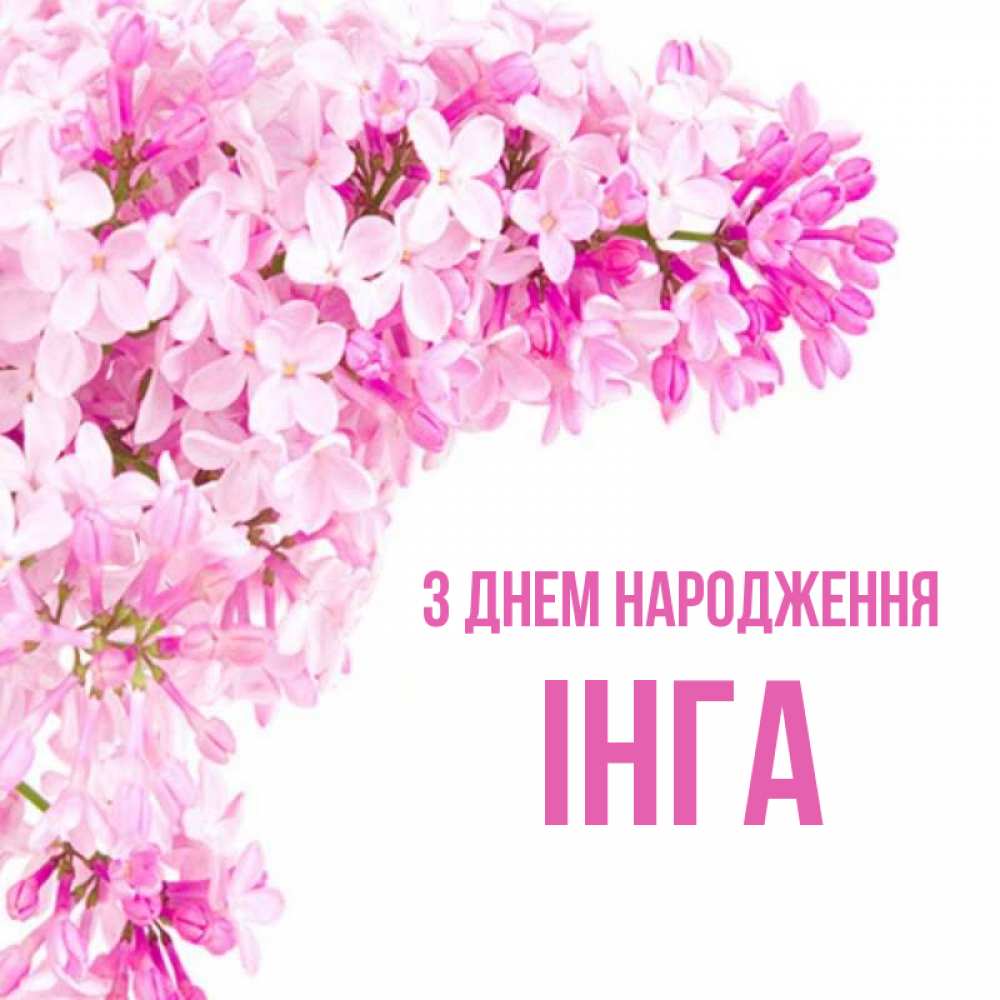 Открытка на каждый день з підписом, Інга З Днем народження Сирень на белом фоне Прикольна листівка з побажанням онлайн скачати безкоштовно 