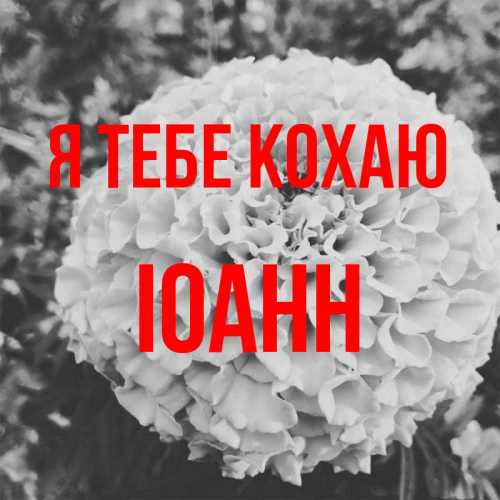 Открытка на каждый день з підписом, Іоанн Я тебе кохаю подпись Прикольна листівка з побажанням онлайн скачати безкоштовно 