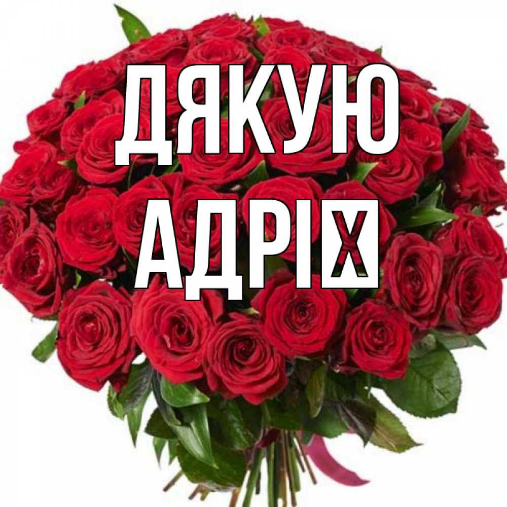 Открытка на каждый день з підписом, Адрії Дякую букет красных роз Прикольна листівка з побажанням онлайн скачати безкоштовно 