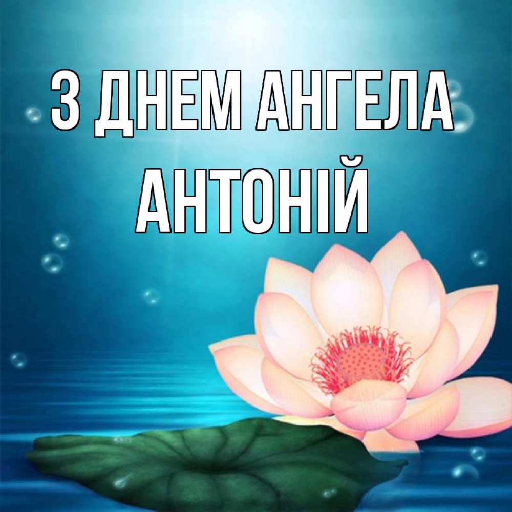 Открытка на каждый день з підписом, Антоній З Днем ангела кувшинка Прикольна листівка з побажанням онлайн скачати безкоштовно 