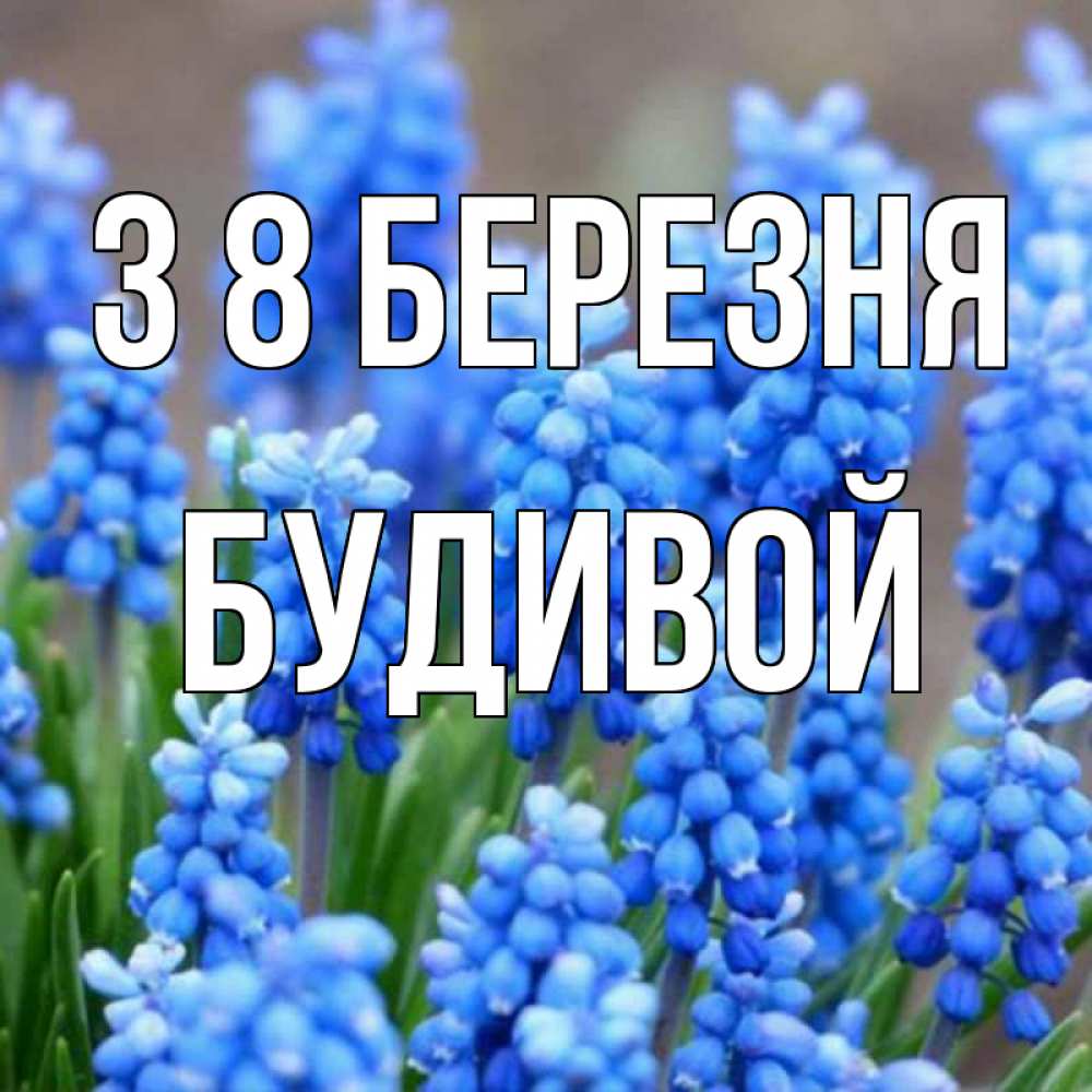 Открытка на каждый день з підписом, Будивой З 8 БЕРЕЗНЯ Поздравительная открытка для женщин с цветами на праздничную дату Прикольна листівка з побажанням онлайн скачати безкоштовно 