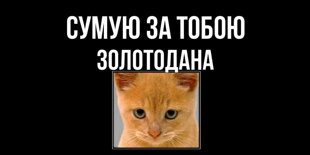 Открытка на каждый день з підписом, Золотодана Сумую за тобою открытки рыжий котенок скучает по тебе Прикольна листівка з побажанням онлайн скачати безкоштовно 