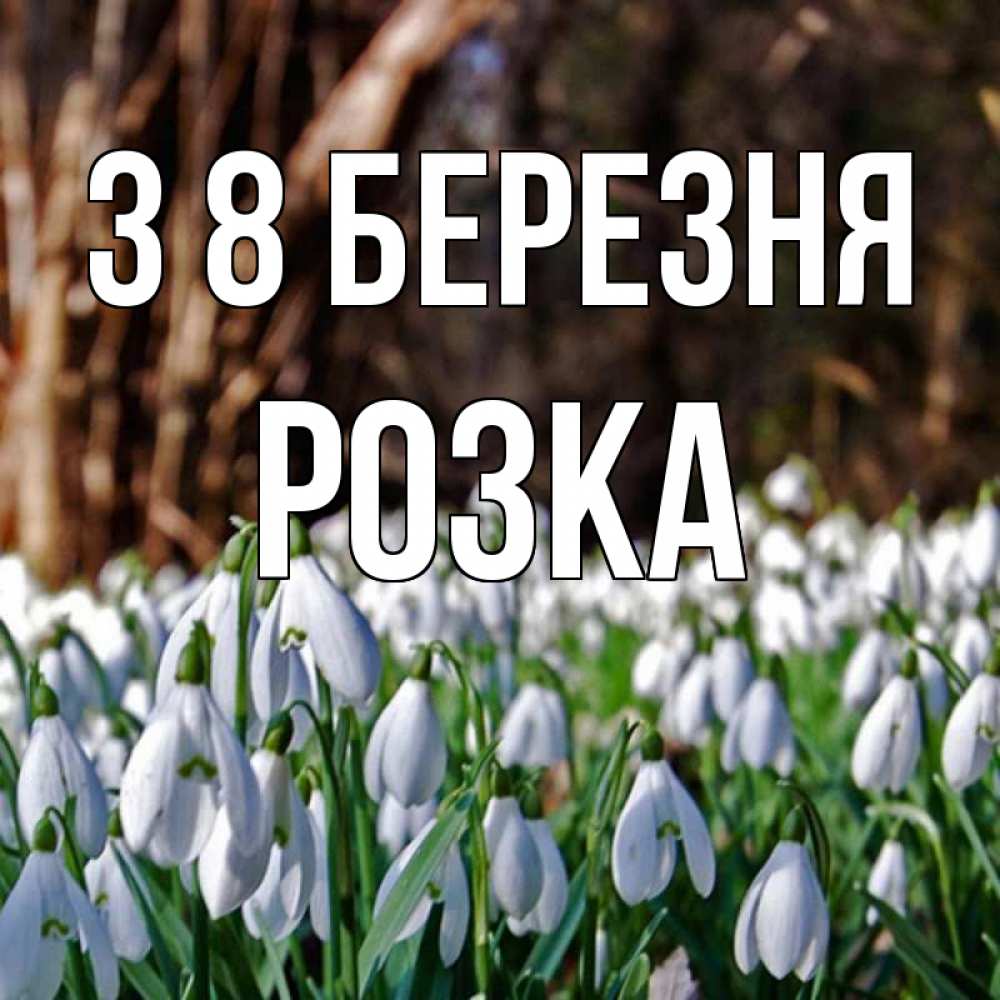Открытка на каждый день з підписом, Розка З 8 БЕРЕЗНЯ с подснежниками 1 Прикольна листівка з побажанням онлайн скачати безкоштовно 