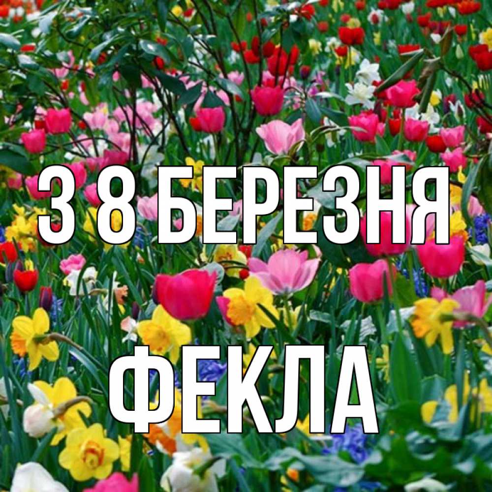 Открытка на каждый день з підписом, Фекла З 8 БЕРЕЗНЯ с международным женским днем поздравления для женщины Прикольна листівка з побажанням онлайн скачати безкоштовно 
