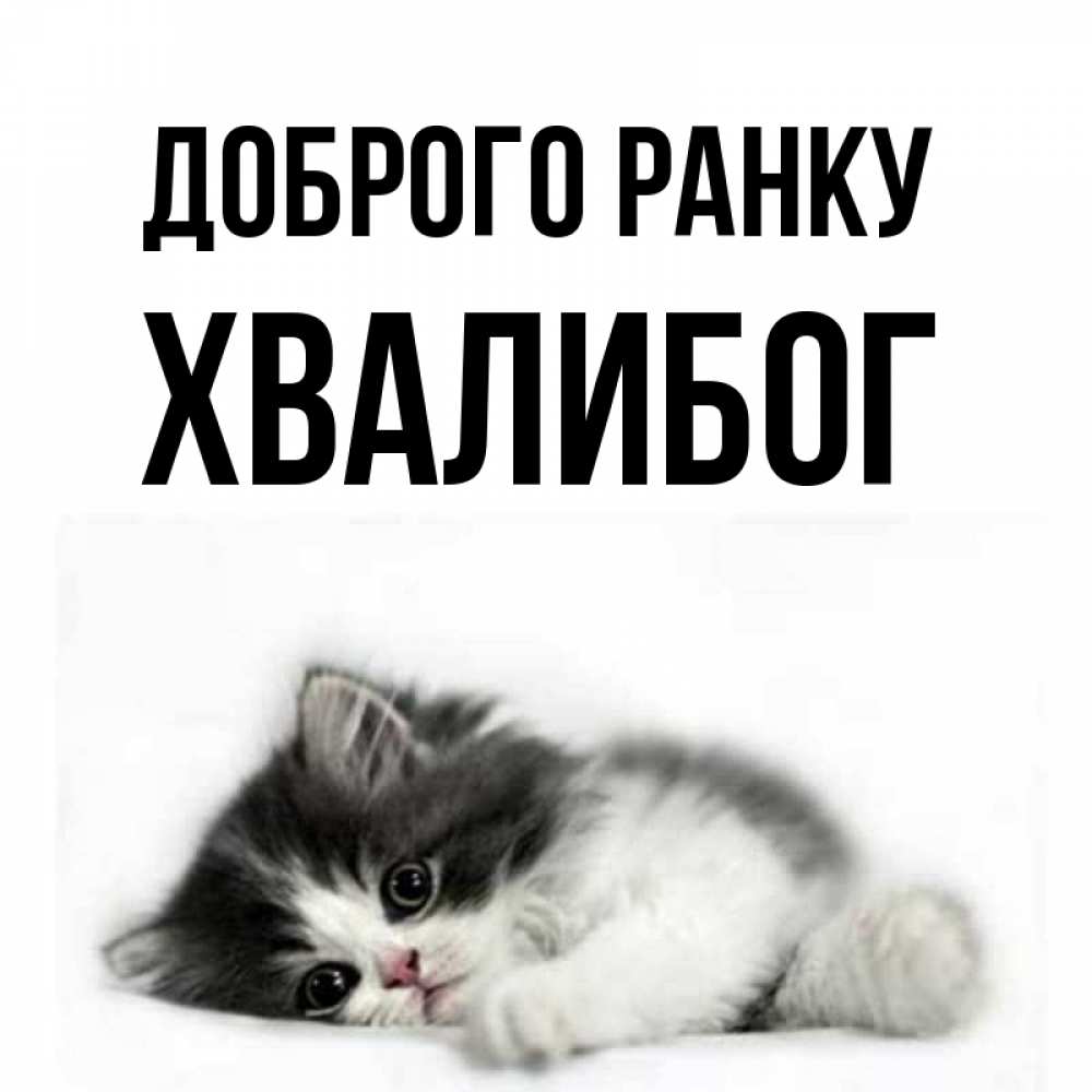 Открытка на каждый день з підписом, Хвалибог Доброго ранку кот лапки Прикольна листівка з побажанням онлайн скачати безкоштовно 
