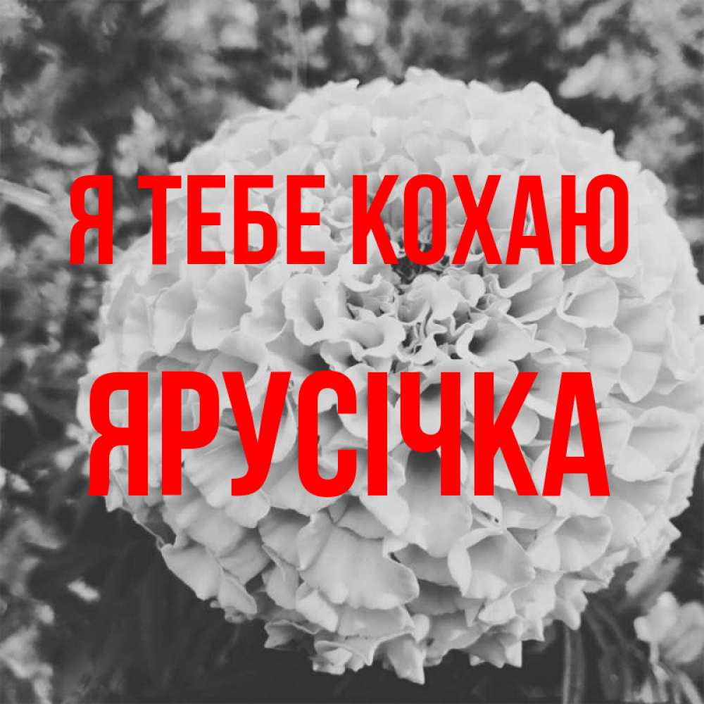 Открытка на каждый день з підписом, Ярусічка Я тебе кохаю подпись Прикольна листівка з побажанням онлайн скачати безкоштовно 