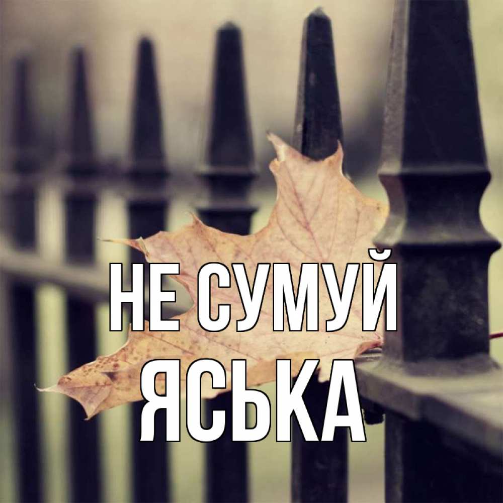 Открытка на каждый день з підписом, Яська Не сумуй лист клена Прикольна листівка з побажанням онлайн скачати безкоштовно 