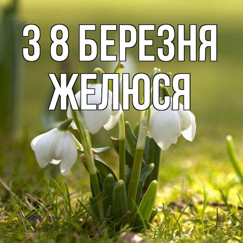 Открытка на каждый день з підписом, Желюся З 8 БЕРЕЗНЯ ранние цветы 2 Прикольна листівка з побажанням онлайн скачати безкоштовно 