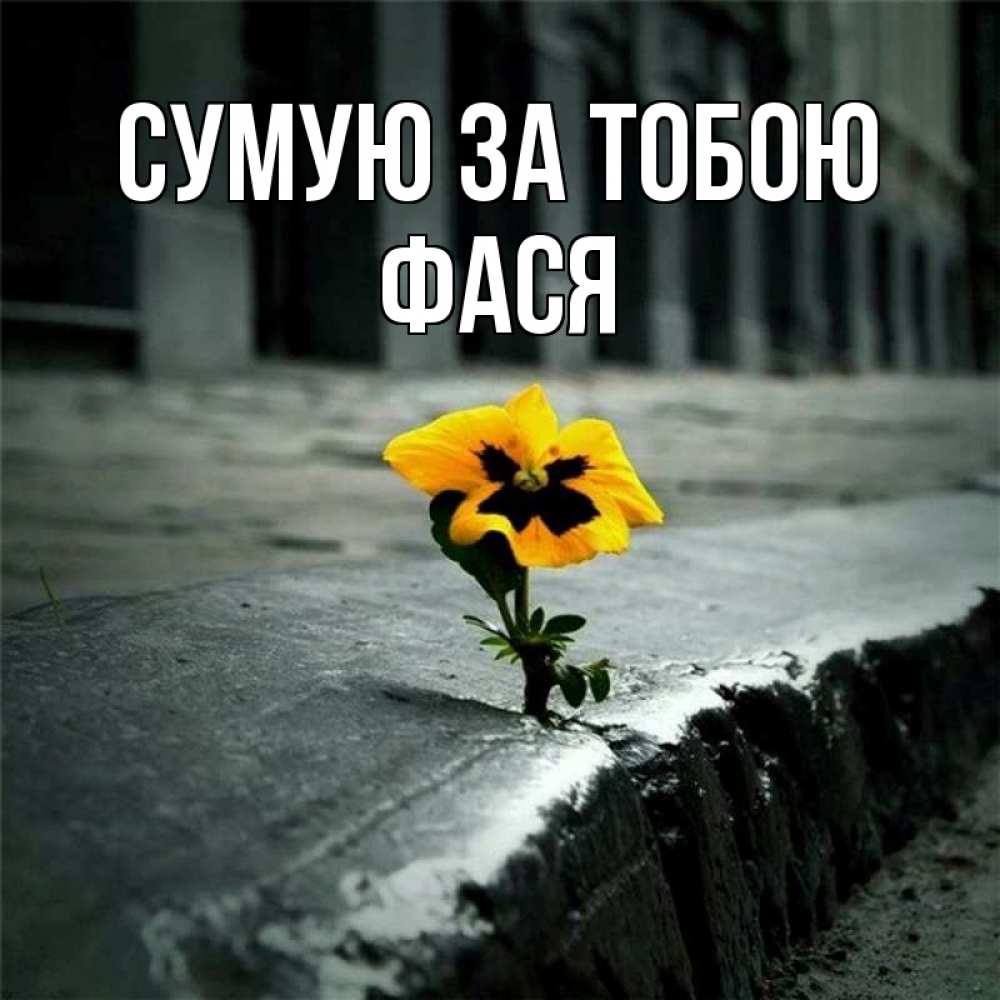 Открытка на каждый день з підписом, Фася Сумую за тобою надеюсь будет лучше Прикольна листівка з побажанням онлайн скачати безкоштовно 