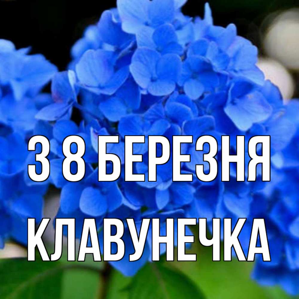 Открытка на каждый день з підписом, Клавунечка З 8 БЕРЕЗНЯ синие цветы Прикольна листівка з побажанням онлайн скачати безкоштовно 