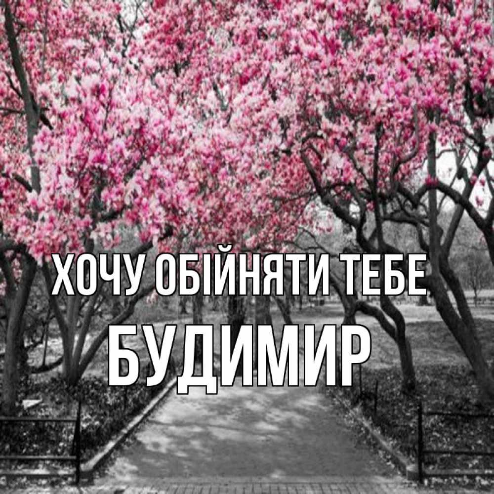 Открытка на каждый день з підписом, Будимир Хочу обійняти тебе обработанное фото Прикольна листівка з побажанням онлайн скачати безкоштовно 
