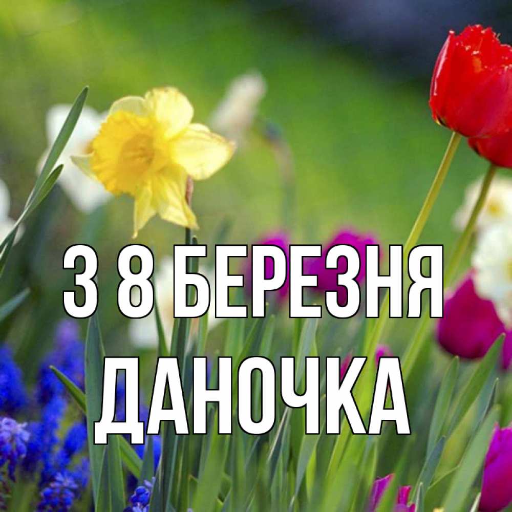 Открытка на каждый день з підписом, Даночка З 8 БЕРЕЗНЯ международный женский день 3 Прикольна листівка з побажанням онлайн скачати безкоштовно 