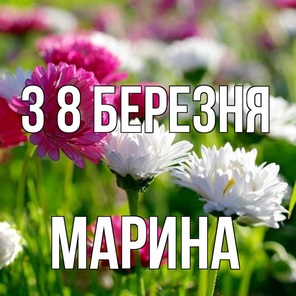 Открытка на каждый день з підписом, Марина З 8 БЕРЕЗНЯ международный женский день 1 Прикольна листівка з побажанням онлайн скачати безкоштовно 