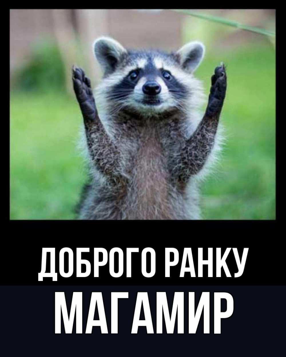 Открытка на каждый день з підписом, Магамир Доброго ранку хорошее настроение утречком Прикольна листівка з побажанням онлайн скачати безкоштовно 