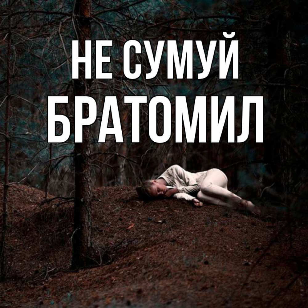 Открытка на каждый день з підписом, Братомил Не сумуй лес Прикольна листівка з побажанням онлайн скачати безкоштовно 