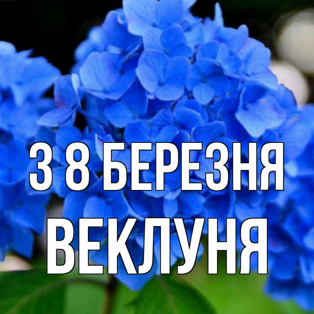 Открытка на каждый день з підписом, Веклуня З 8 БЕРЕЗНЯ синие цветы Прикольна листівка з побажанням онлайн скачати безкоштовно 