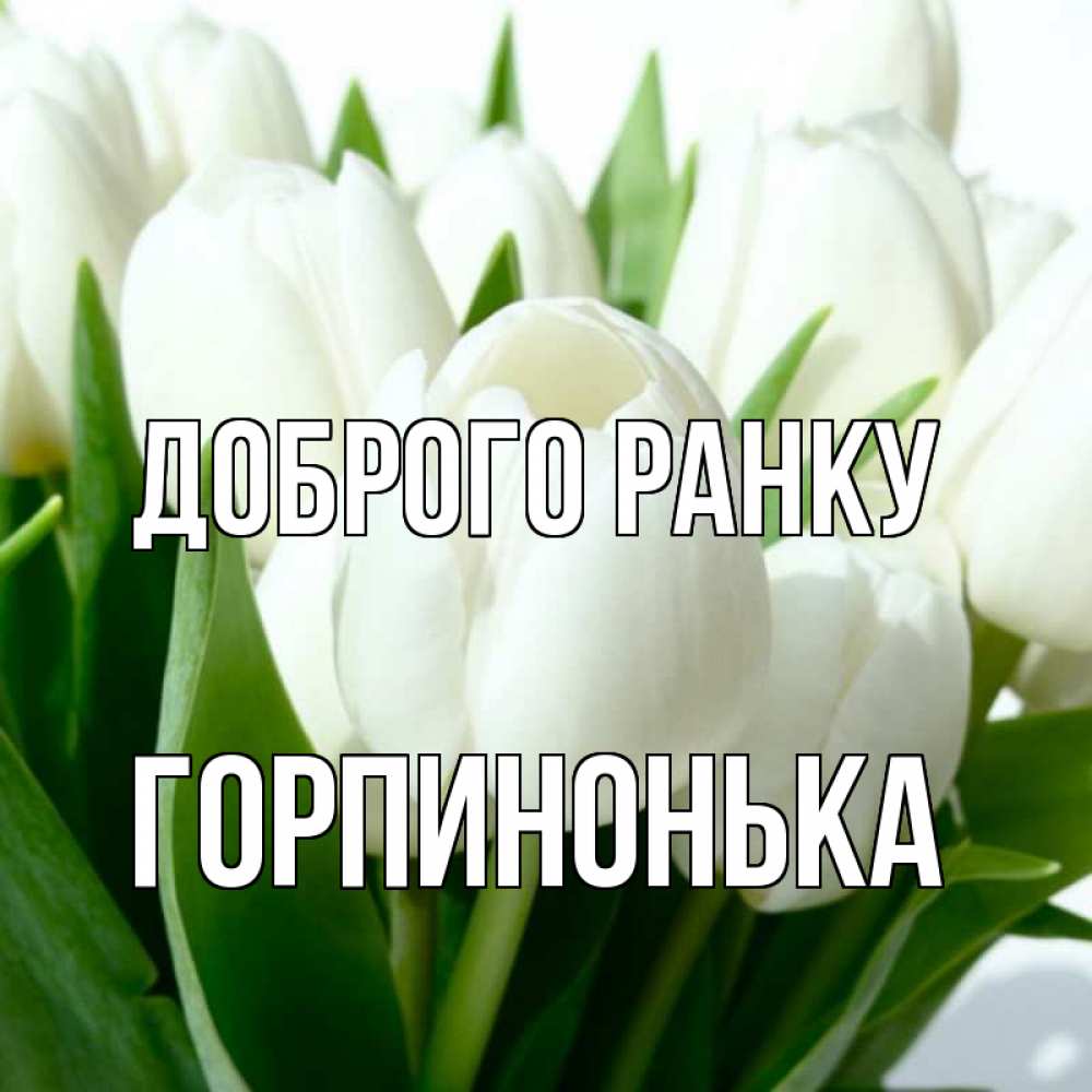 Открытка на каждый день з підписом, Горпинонька Доброго ранку открытки на каждый день по именам Прикольна листівка з побажанням онлайн скачати безкоштовно 