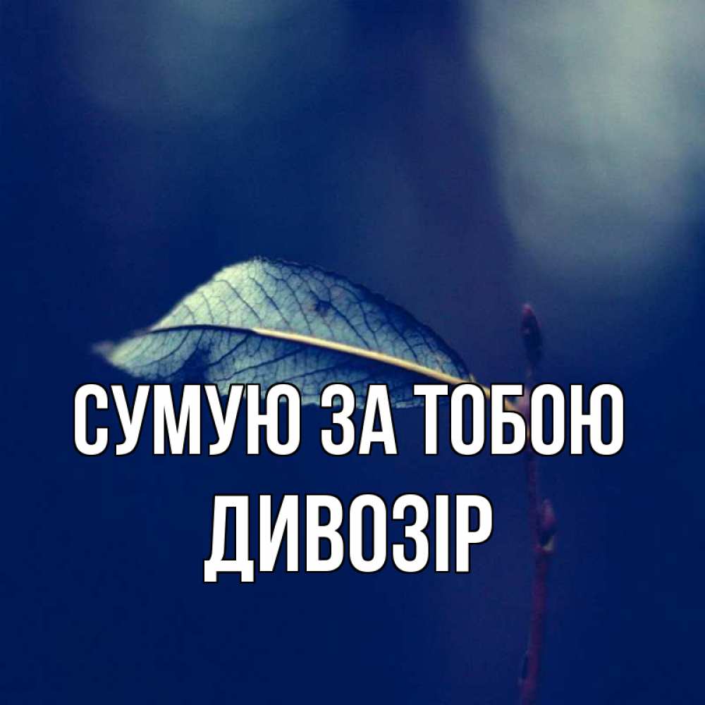 Открытка на каждый день з підписом, Дивозір Сумую за тобою одна ветка 1 Прикольна листівка з побажанням онлайн скачати безкоштовно 