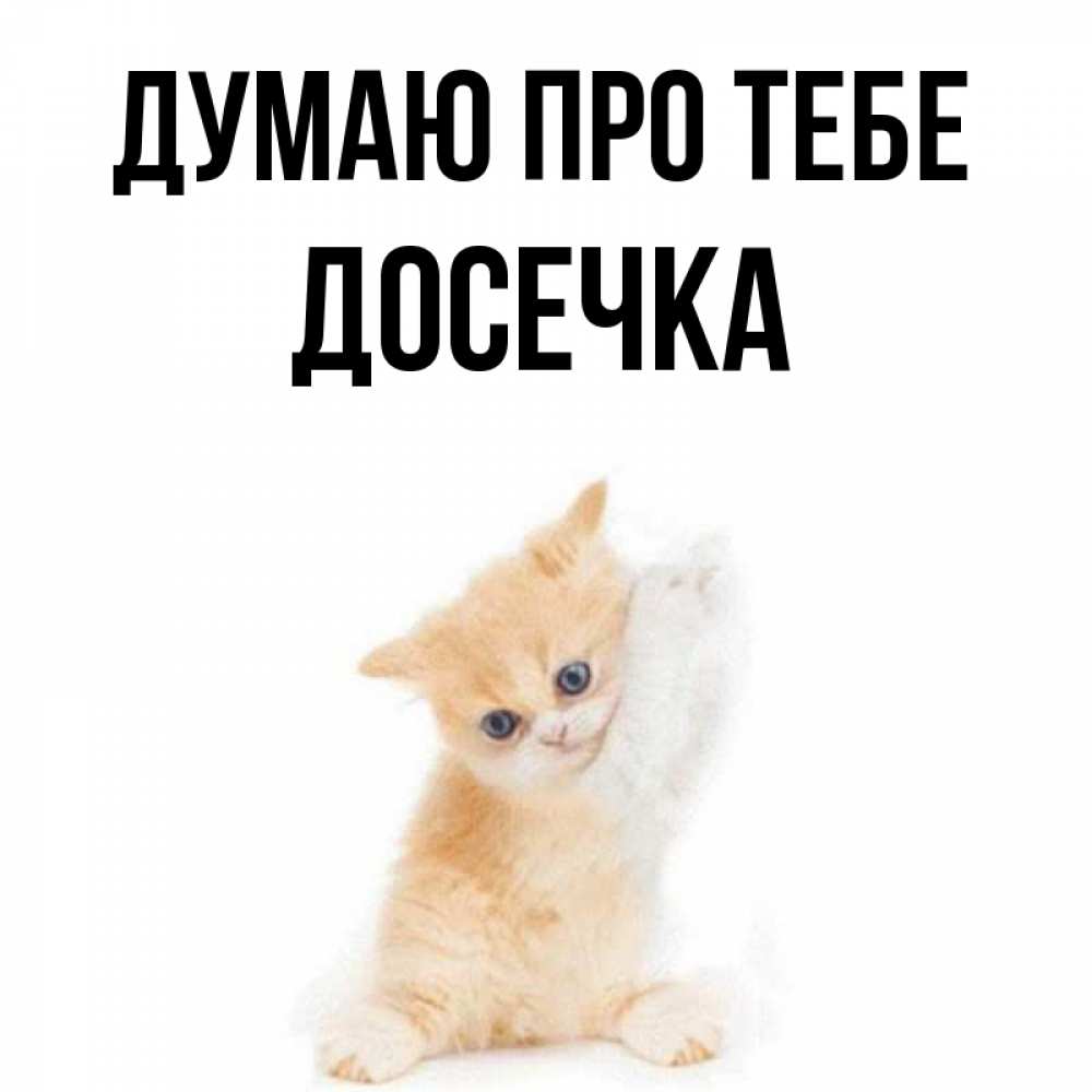 Открытка на каждый день з підписом, Досечка Думаю про тебе зверушки и милота Прикольна листівка з побажанням онлайн скачати безкоштовно 