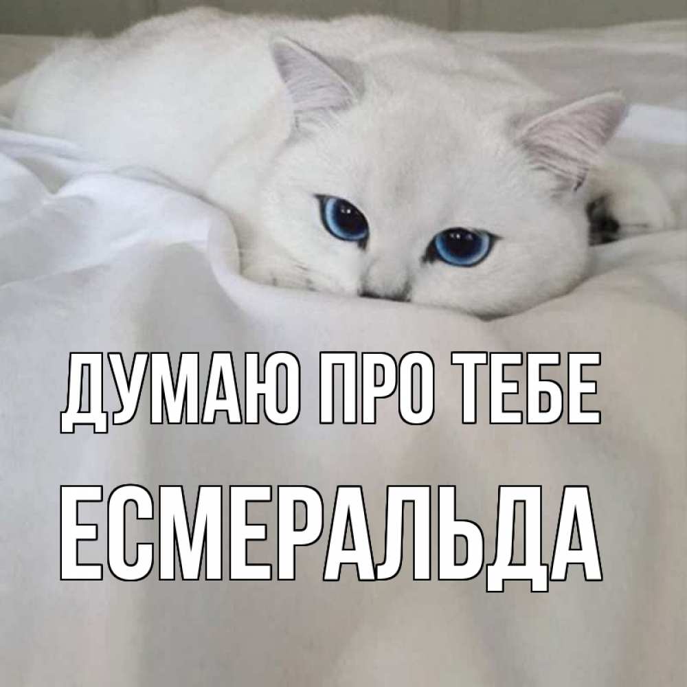 Открытка на каждый день з підписом, Есмеральда Думаю про тебе я очень по тебе скучаю и тоскую Прикольна листівка з побажанням онлайн скачати безкоштовно 