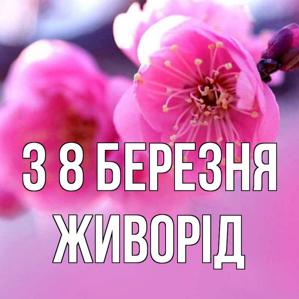 Открытка на каждый день з підписом, Живорід З 8 БЕРЕЗНЯ международный женский день Прикольна листівка з побажанням онлайн скачати безкоштовно 
