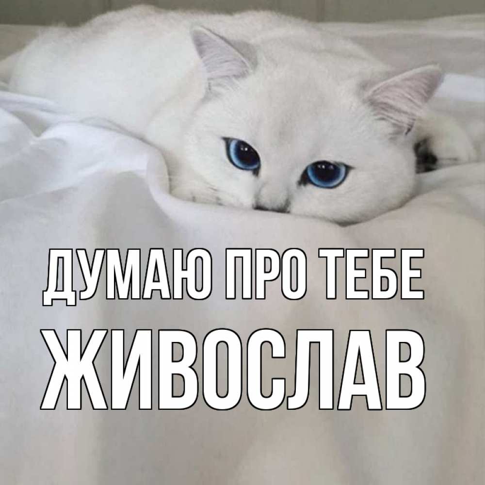 Открытка на каждый день з підписом, Живослав Думаю про тебе я очень по тебе скучаю и тоскую Прикольна листівка з побажанням онлайн скачати безкоштовно 