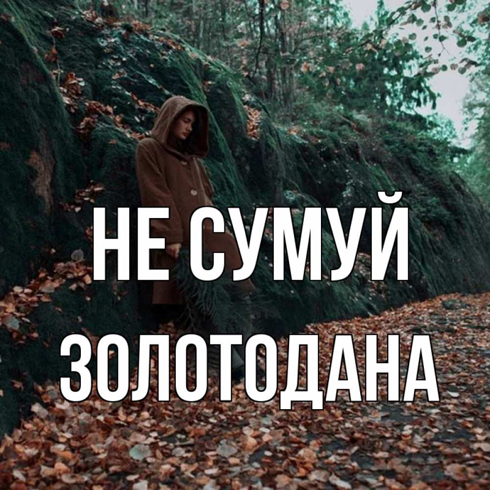 Открытка на каждый день з підписом, Золотодана Не сумуй осенний лес Прикольна листівка з побажанням онлайн скачати безкоштовно 