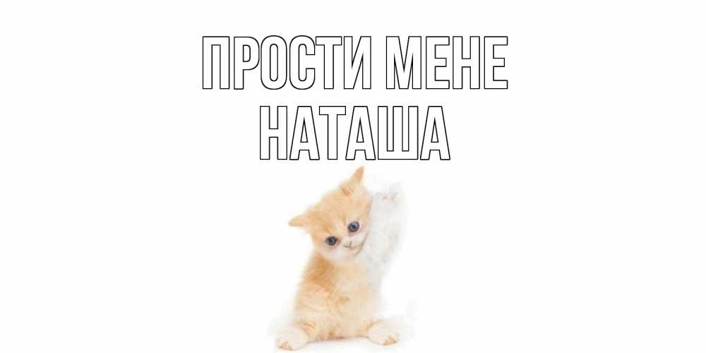 Открытка на каждый день з підписом, Наташа Прости мене кот Прикольна листівка з побажанням онлайн скачати безкоштовно 