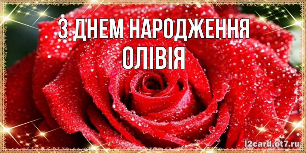 Открытка на каждый день з підписом, Олівія З Днем народження роса и роза. открытка с красивой розой Прикольна листівка з побажанням онлайн скачати безкоштовно 