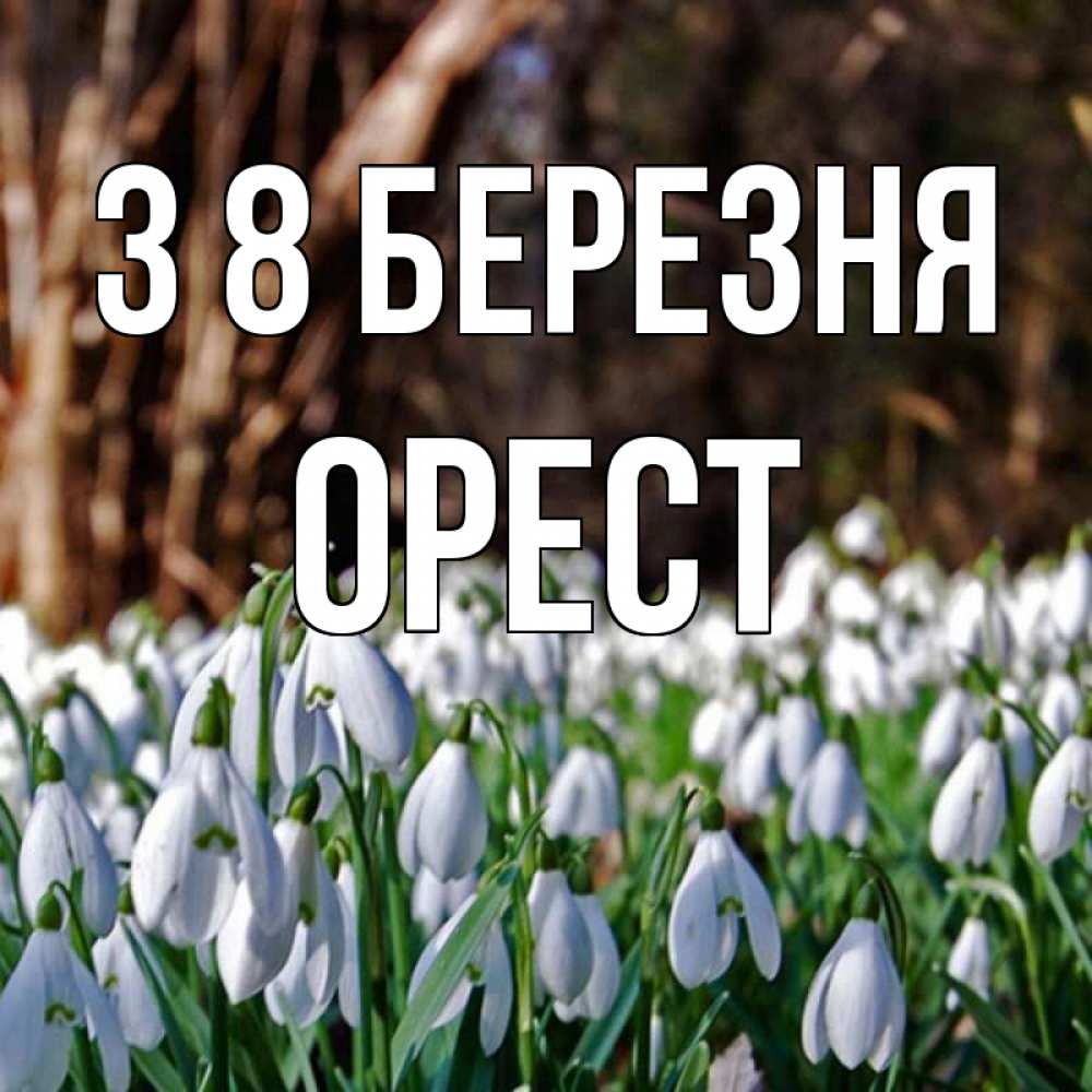 Открытка на каждый день з підписом, Орест З 8 БЕРЕЗНЯ с подснежниками 1 Прикольна листівка з побажанням онлайн скачати безкоштовно 