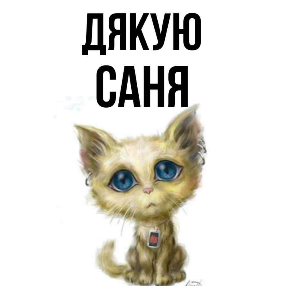 Открытка на каждый день з підписом, Саня Дякую рисованный кот благодарит вас Прикольна листівка з побажанням онлайн скачати безкоштовно 