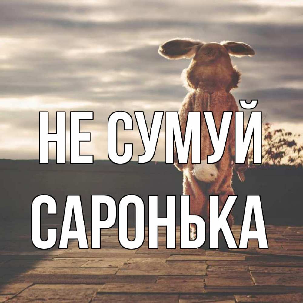 Открытка на каждый день з підписом, Саронька Не сумуй со спины Прикольна листівка з побажанням онлайн скачати безкоштовно 