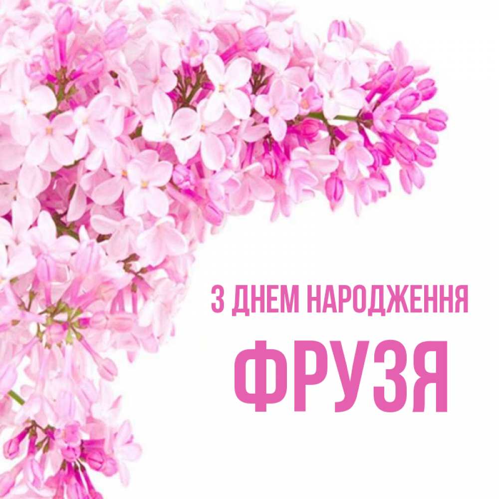 Открытка на каждый день з підписом, Фрузя З Днем народження Сирень на белом фоне Прикольна листівка з побажанням онлайн скачати безкоштовно 