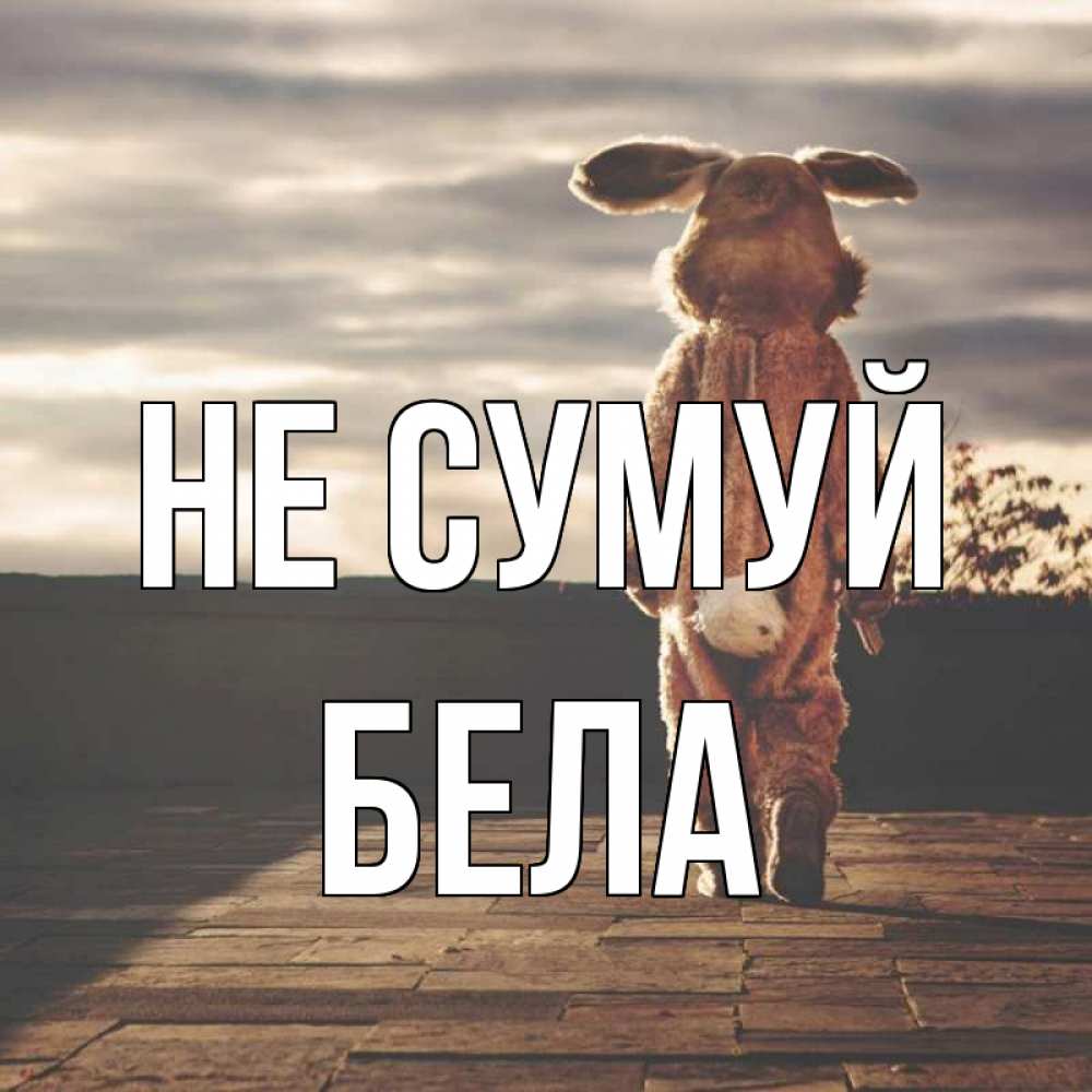 Открытка на каждый день з підписом, Бела Не сумуй со спины Прикольна листівка з побажанням онлайн скачати безкоштовно 