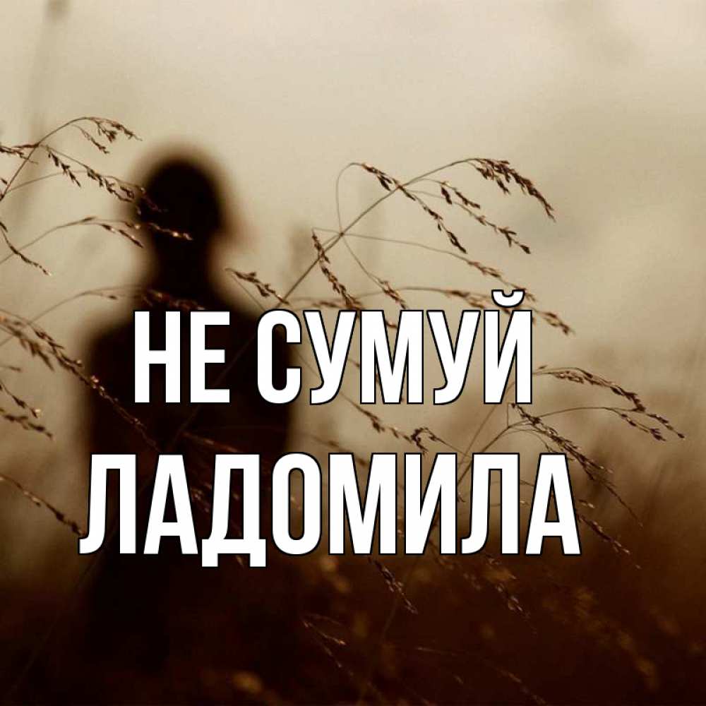 Открытка на каждый день з підписом, Ладомила Не сумуй грусть Прикольна листівка з побажанням онлайн скачати безкоштовно 