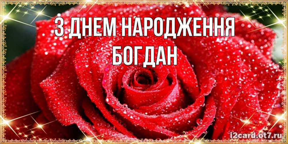 Открытка на каждый день з підписом, Богдан З Днем народження роса и роза. открытка с красивой розой Прикольна листівка з побажанням онлайн скачати безкоштовно 